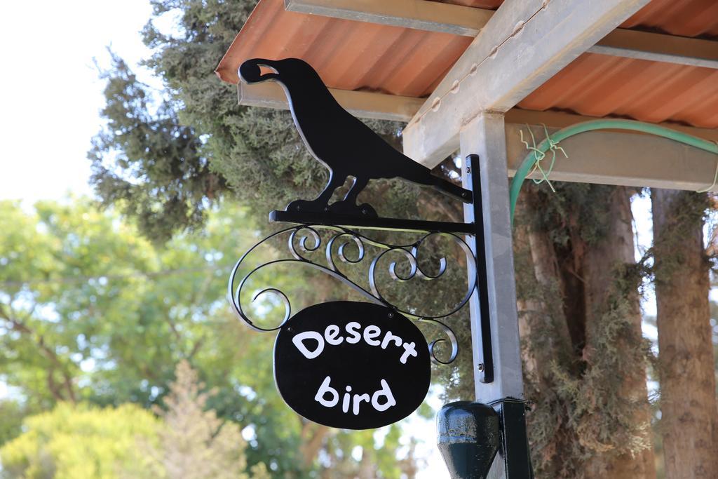Desert Bird Guest House Arad Exterior foto
